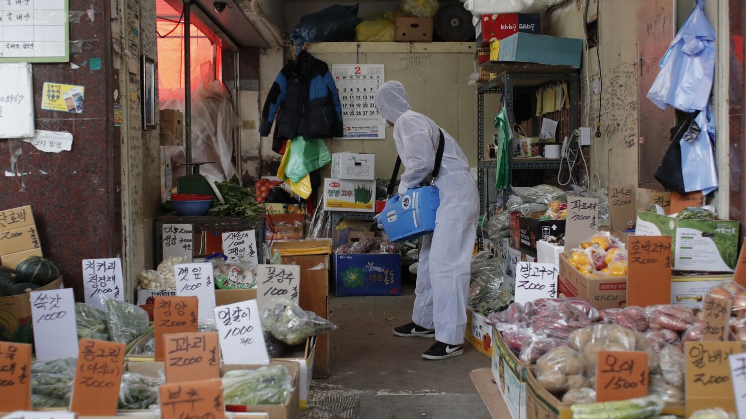 La Cina mette al bando il consumo di carne di animali selvatici