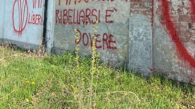 "Ribellarsi è un dovere". I no vax vandalizzano il cimitero di Castelvetro Piacentino