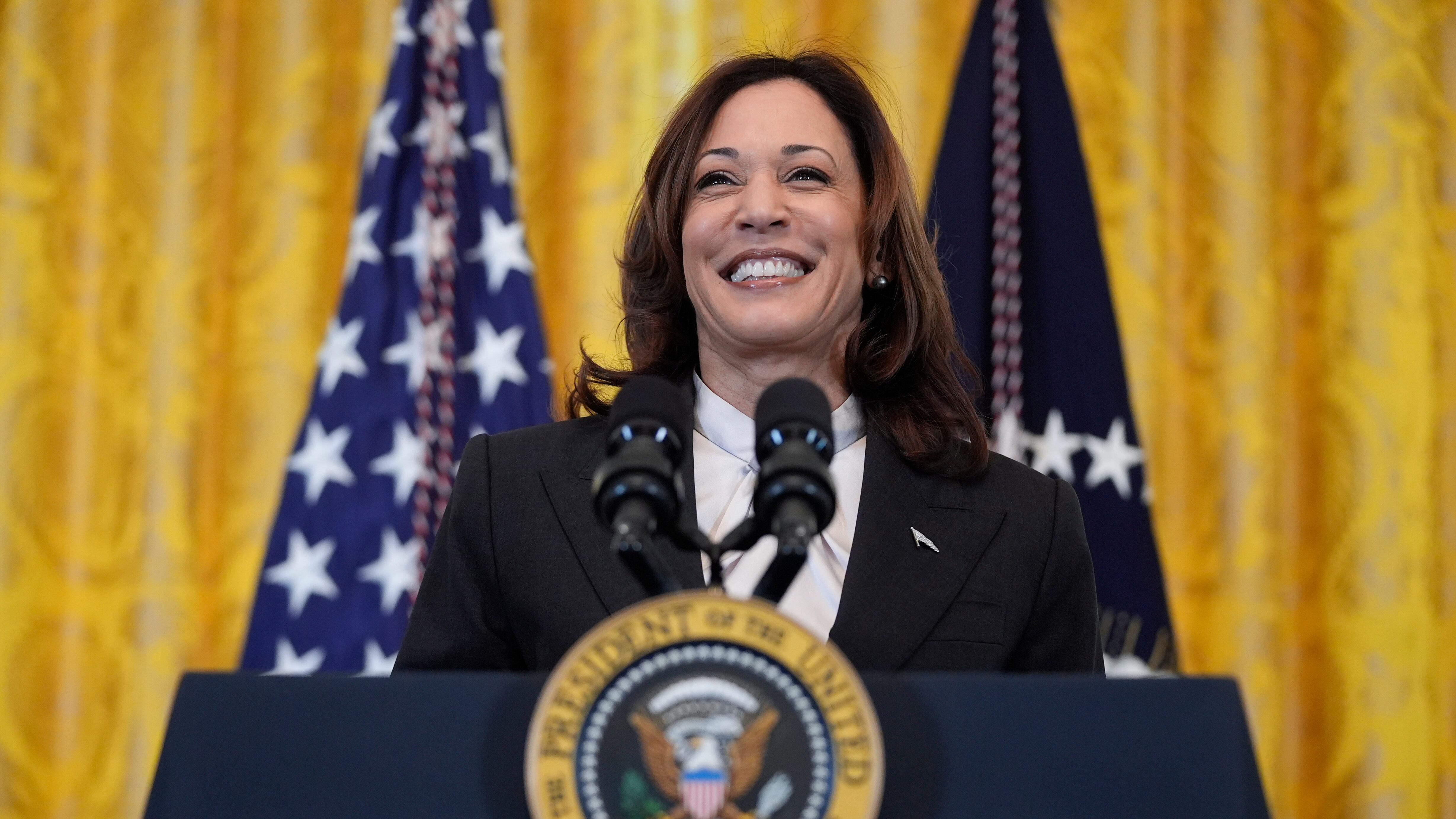 Tandem femminile o coppia afroamericana: impazza il totonomi per il vice di Harris
