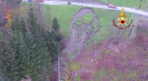 La strage dei boschi: il maltempo abbatte 14mila alberi 4
