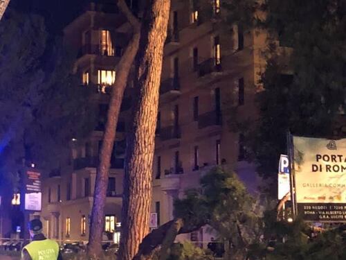 Roma, albero cade e colpisce auto: automobilista ferita