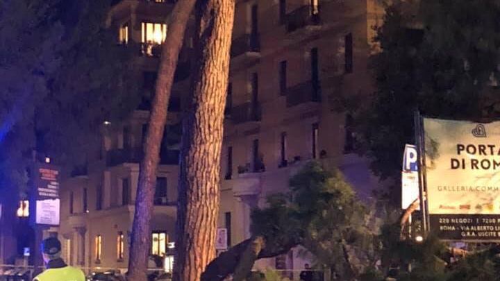 Roma, albero cade e colpisce auto: automobilista ferita