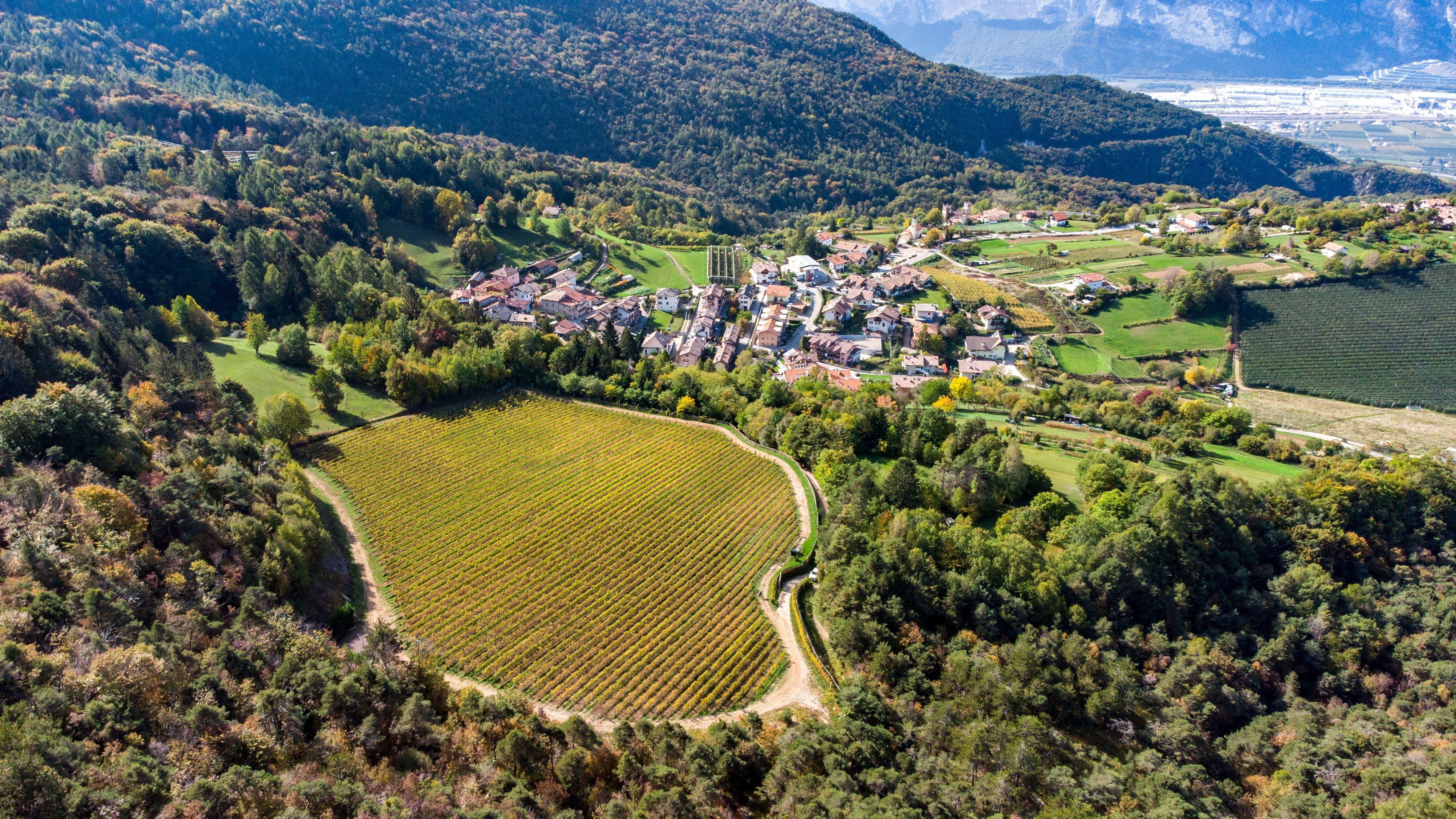 Brut Nature, l’assolutezza di Maso Martis