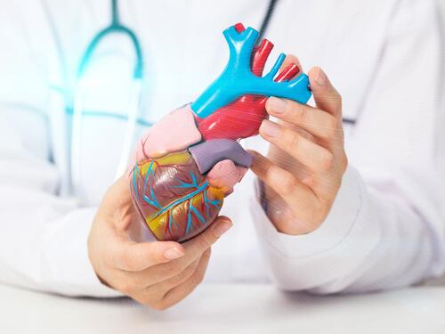 Cardiomiopatia ipertrofica ostruttiva: "Terapia innovativa efficace e sicura a 5 anni"