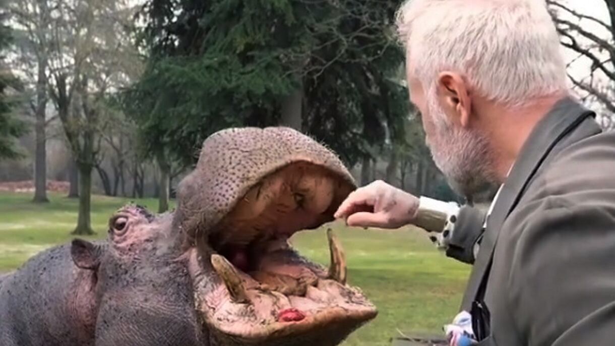 Gianluca Vacchi e l'ippopotamo, adesso arrivano i carabinieri forestali