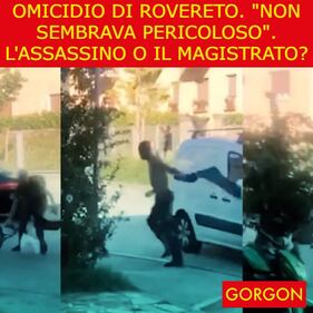La satira del giorno. "Non sembrava pericoloso" 1