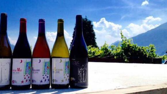 Il vino di Como, una lunga storia da bere