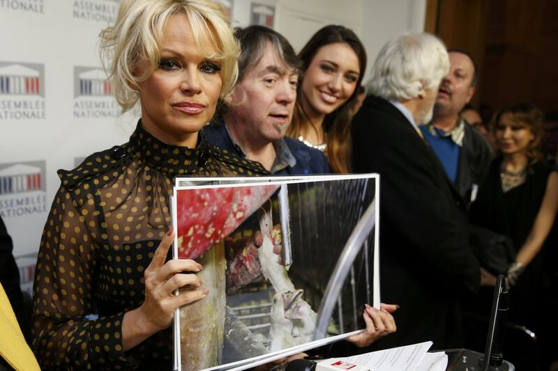 Pamela Anderson contro il foie gras 6