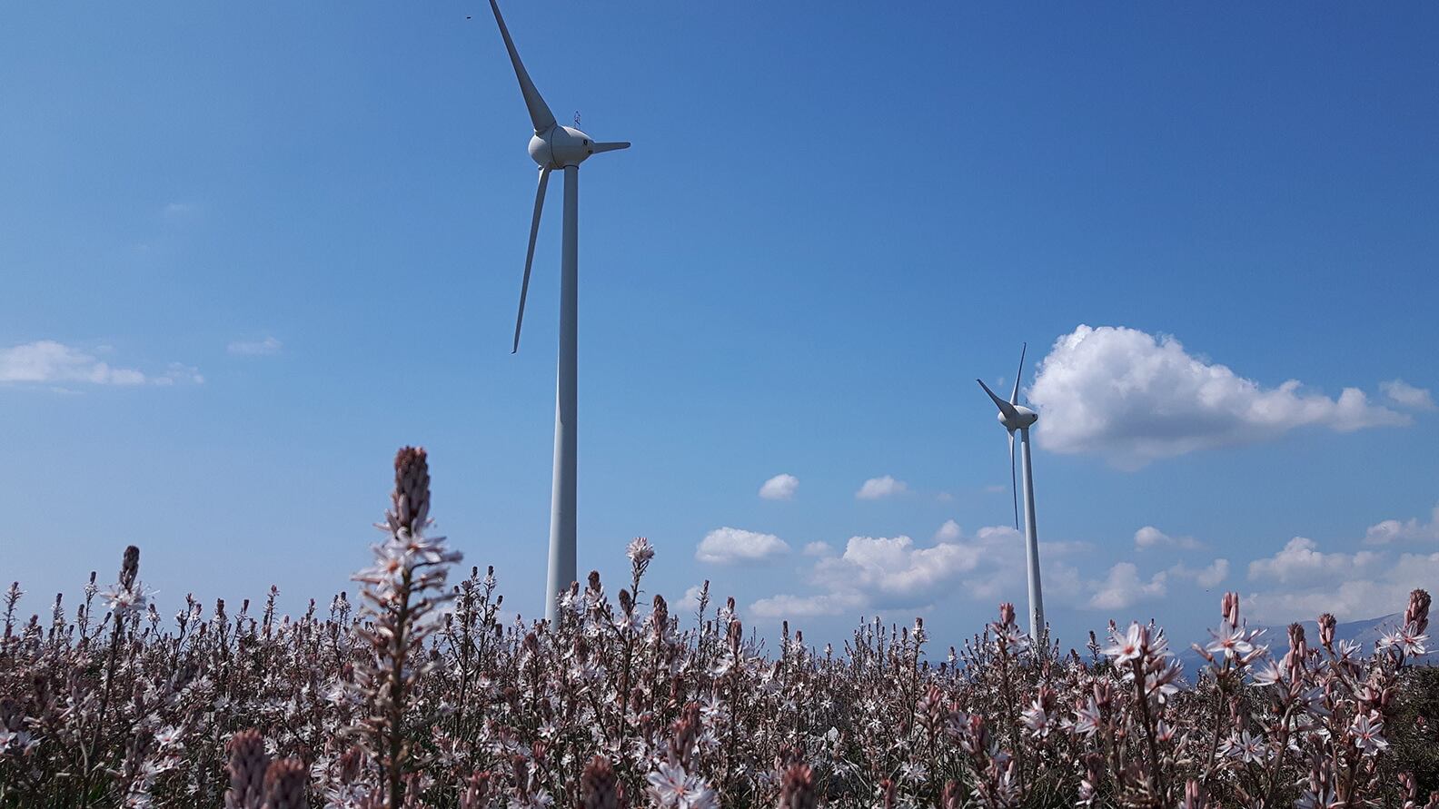 L’energia eolica secondo Enel: integrazione con il paesaggio e impianti ibridi per una maggiore efficienza