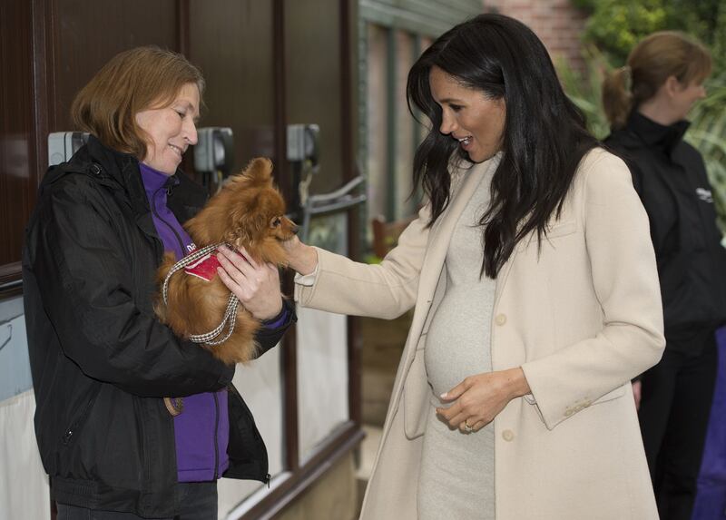 Meghan Markle raggiante col pancione: foto 6