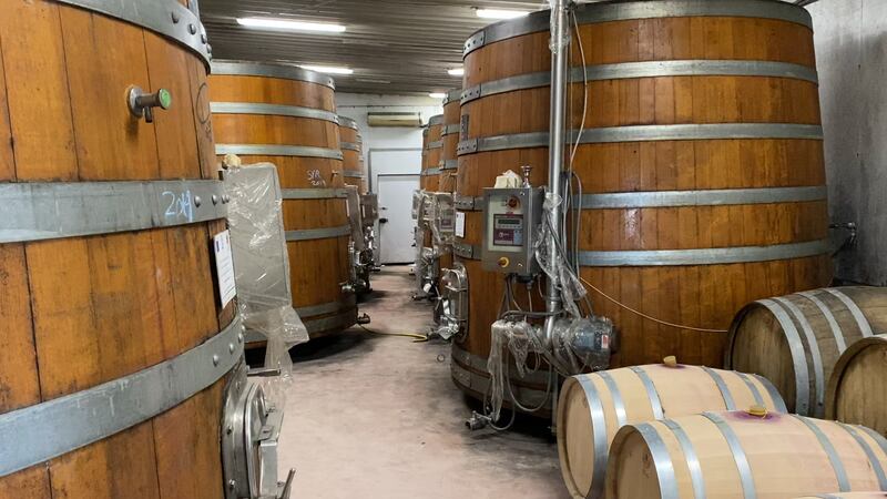Botti vino
