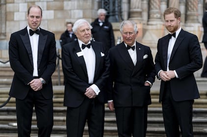 I reali inglesi alla prima di "Our Planet" 6