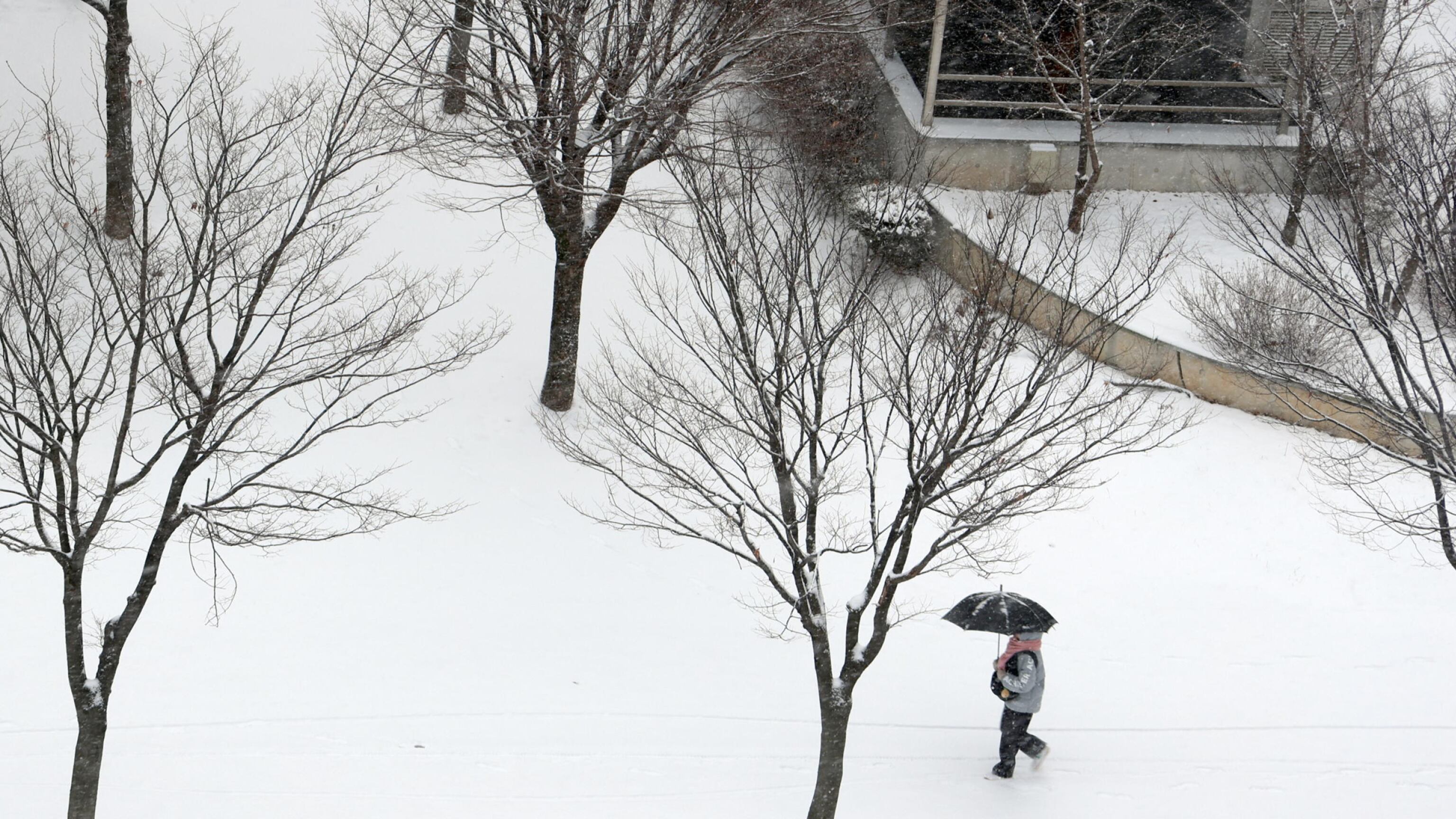 Non solo pioggia, arriva la neve. Occhio a queste zone