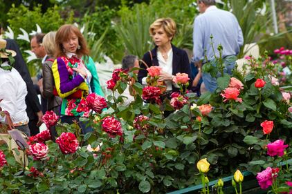 Orticola 2013, la mostra botanica 6