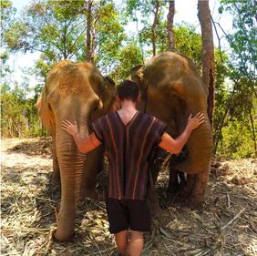 Elefante si fa un selfie 4