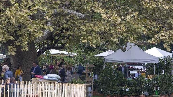 Tra fiori e profumi il Moma ci manda un giardino da Oscar