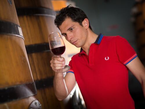 Vino d'autore, premio Gambelli a Diego Bonato