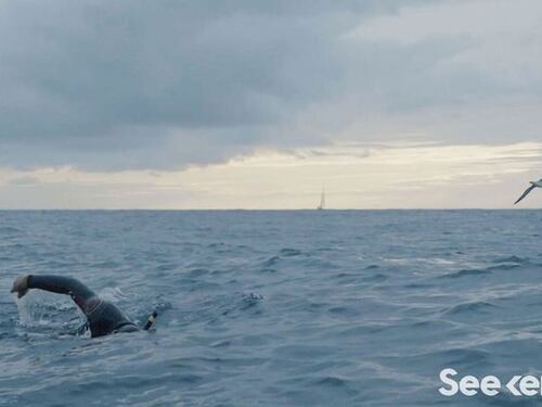 Benoit Lecomte, l’uomo che sfidò l’oceano Pacifico
