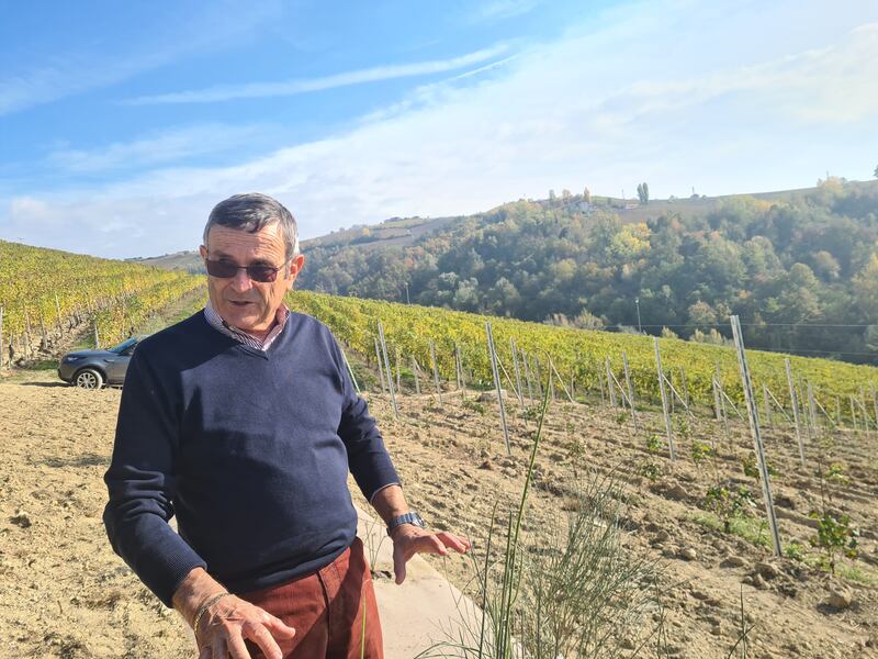 Langhe e Roero, le terre del Barolo e del Barbaresco 10
