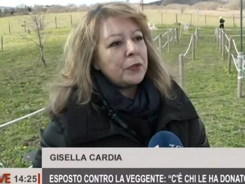 "Altro che miracolo della Madonna, mi ha raggirato". E la veggente di Trevignano sparisce