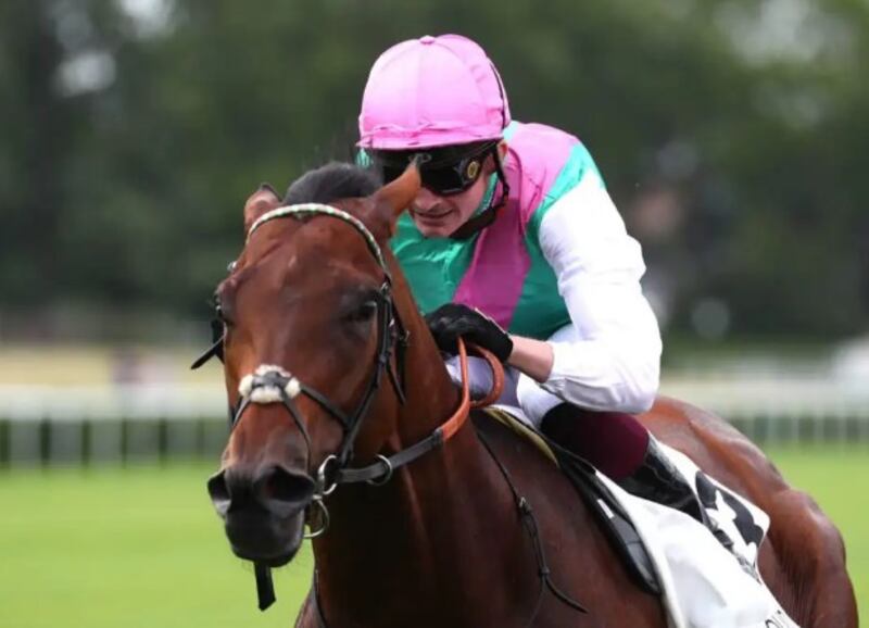Westover fonte: https://racing.juddmonte.com/