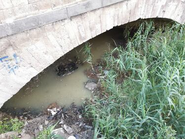 Lungo il corso del fiume Sarno 7