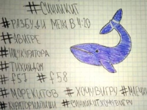 L'incubo "Blue Whale" rispunta in Russia: morti altri due adolescenti