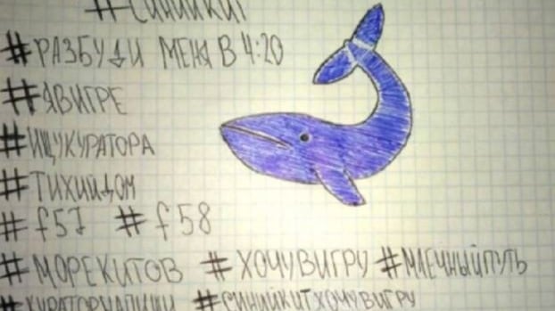 Blue whale, i consigli della psichiatra: "Controllate il sonno di vostro figlio"