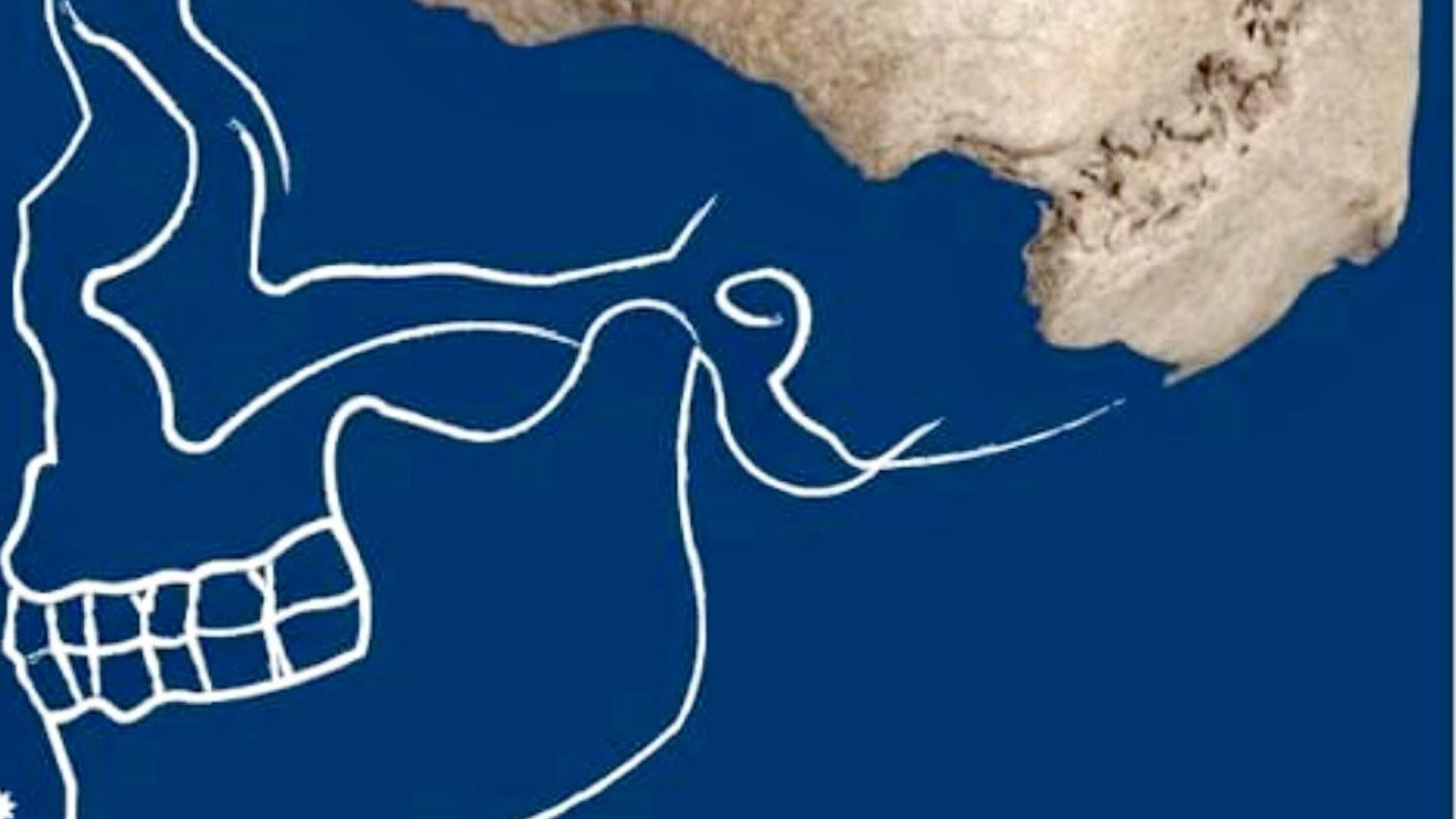 Il cranio di un sapiens nel Po. "Il fiume riscrive la preistoria"