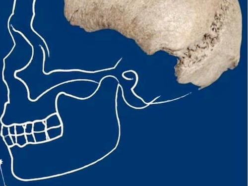 Il cranio di un sapiens nel Po. "Il fiume riscrive la preistoria"