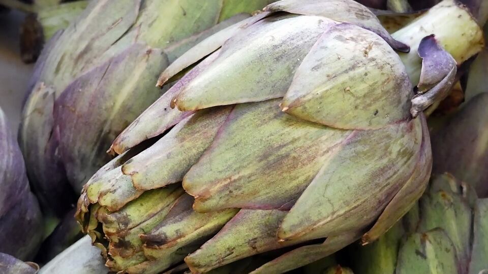 I carciofi, grandi alleati della nostra salute