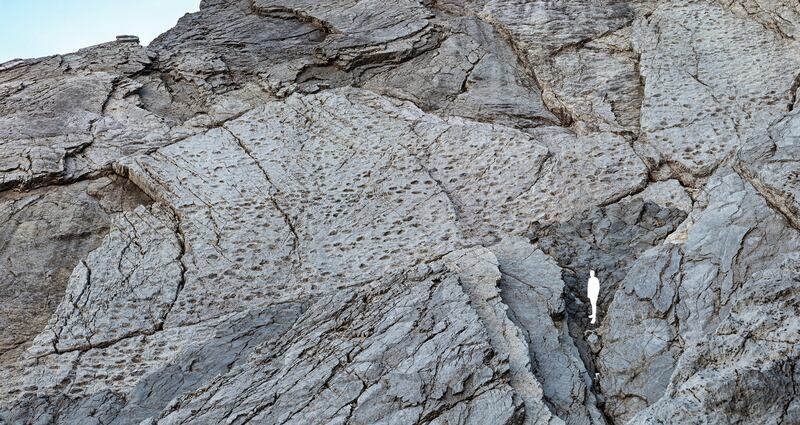Scoperta al Parco dello Stelvio: orme di Plateosaurus, dinosauro erbivoro 7