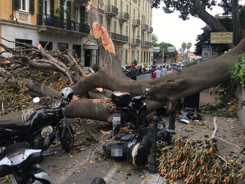 Crolla albero su Aurelia a Sanremo