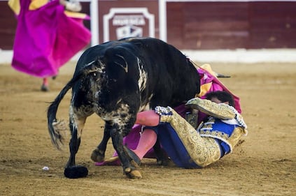 Toro incorna il matador 3