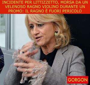 La satira del giorno. Incidente per la Littizzetto 1