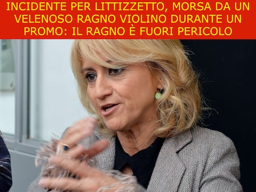 La satira del giorno. Incidente per la Littizzetto