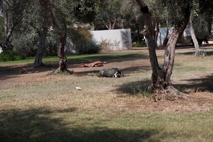 Kibbutz 7