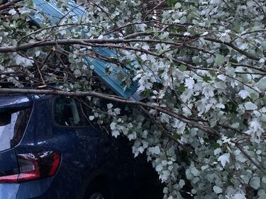 Tempesta su Milano, blocco alla viabilità e problemi ai trasporti 5