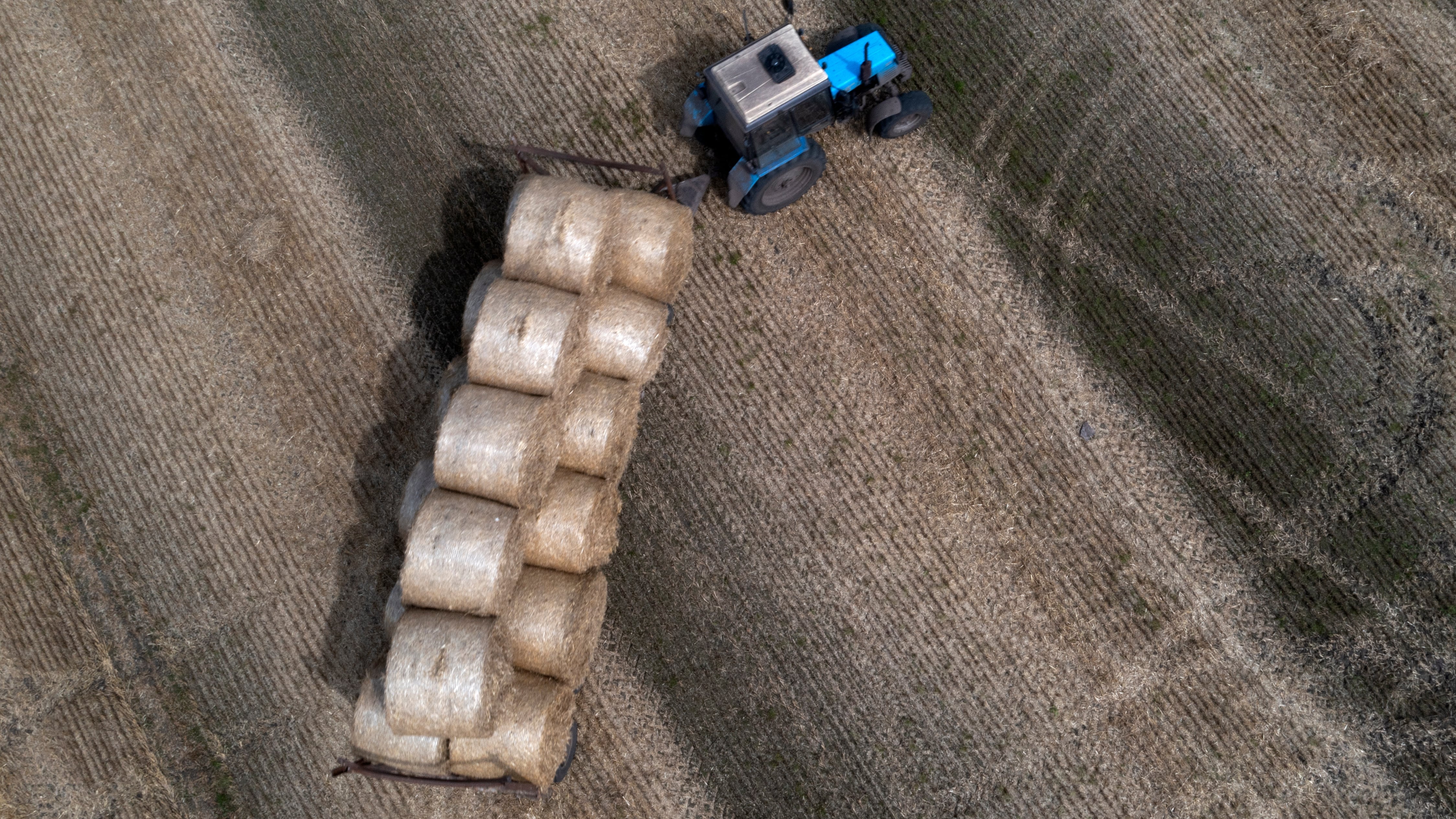 Agricoltura in crisi: costi alle stelle e rese in calo mettono in ginocchio i campi italiani