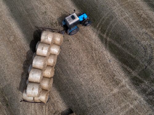 Agricoltura in crisi: costi alle stelle e rese in calo mettono in ginocchio i campi italiani