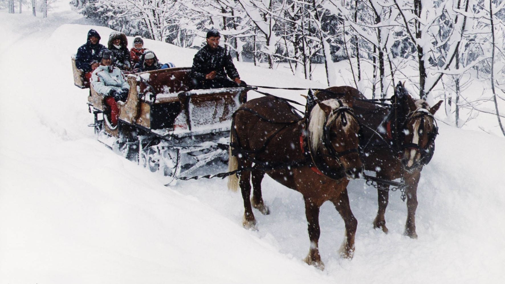 Val di Sole, slitte e cavalli per un inverno romantico