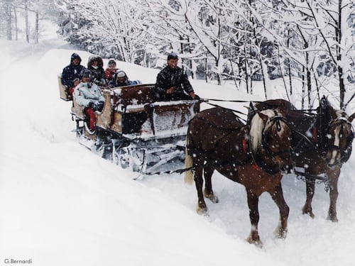 Val di Sole, slitte e cavalli per un inverno romantico