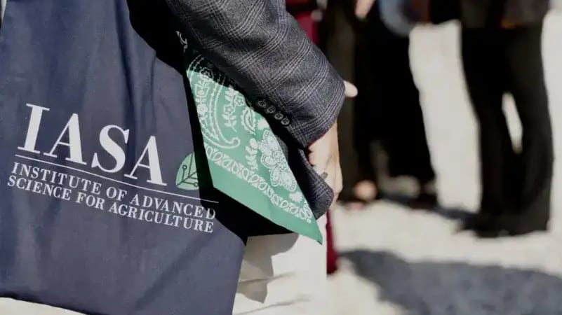 Iasa