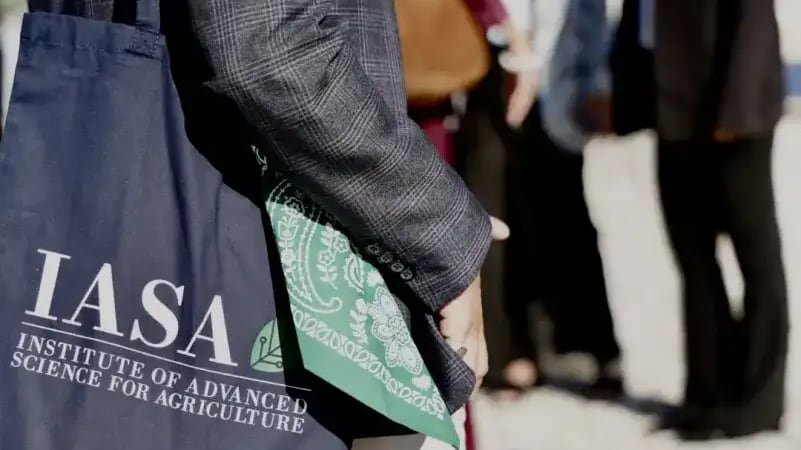 Iasa