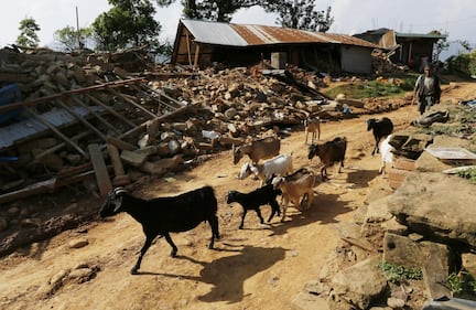 Il villaggio distrutto di Pokharidanda 12