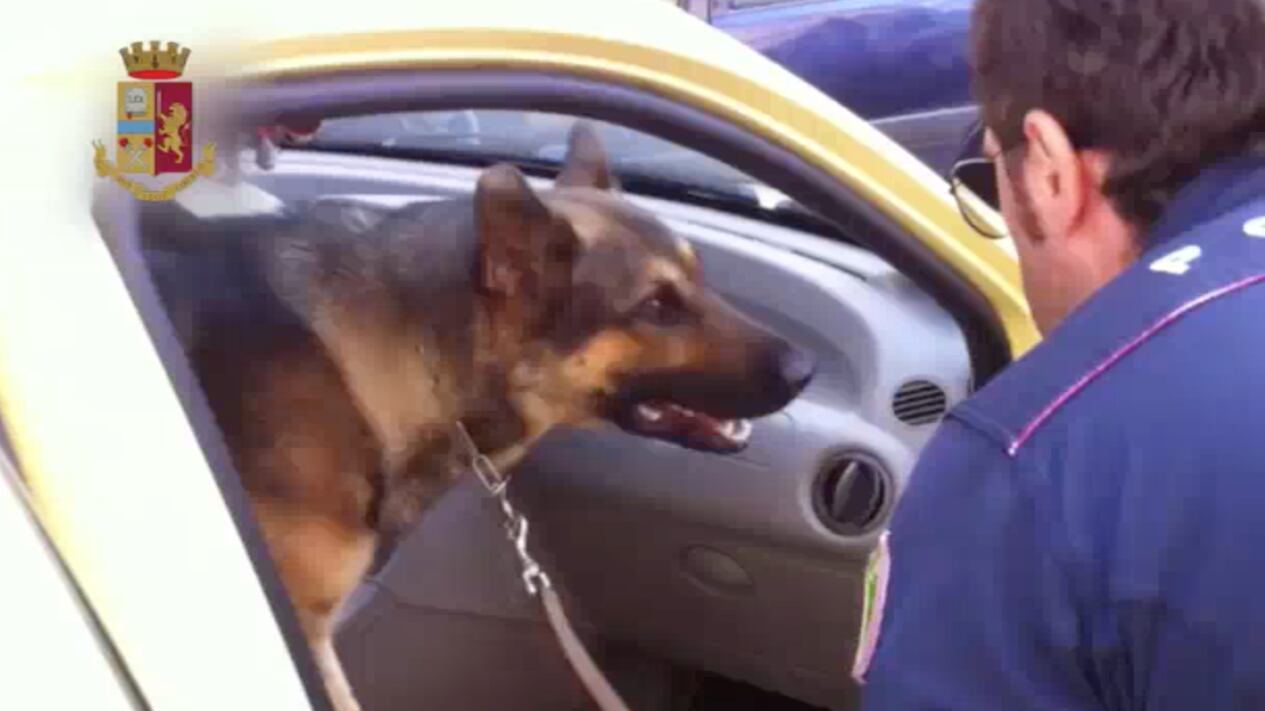 Fiumi di droga in Sicilia dalla Calabria e dalla Campania: 19 arresti tra spacciatori e corrieri
