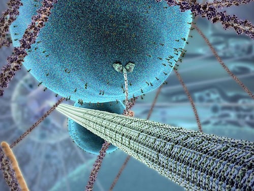 La super farmacia (un po' alchemica) dell'intelligenza artificiale
