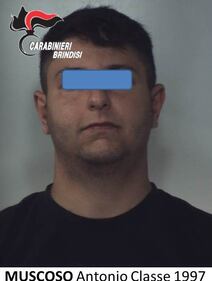 Si sottrae all'alt dei carabinieri, ma si ribalta con l'auto e viene arrestato 5