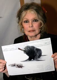 La vita pubblica di Brigitte Bardot 4