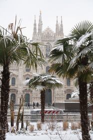 La neve imbianca Milano 1
